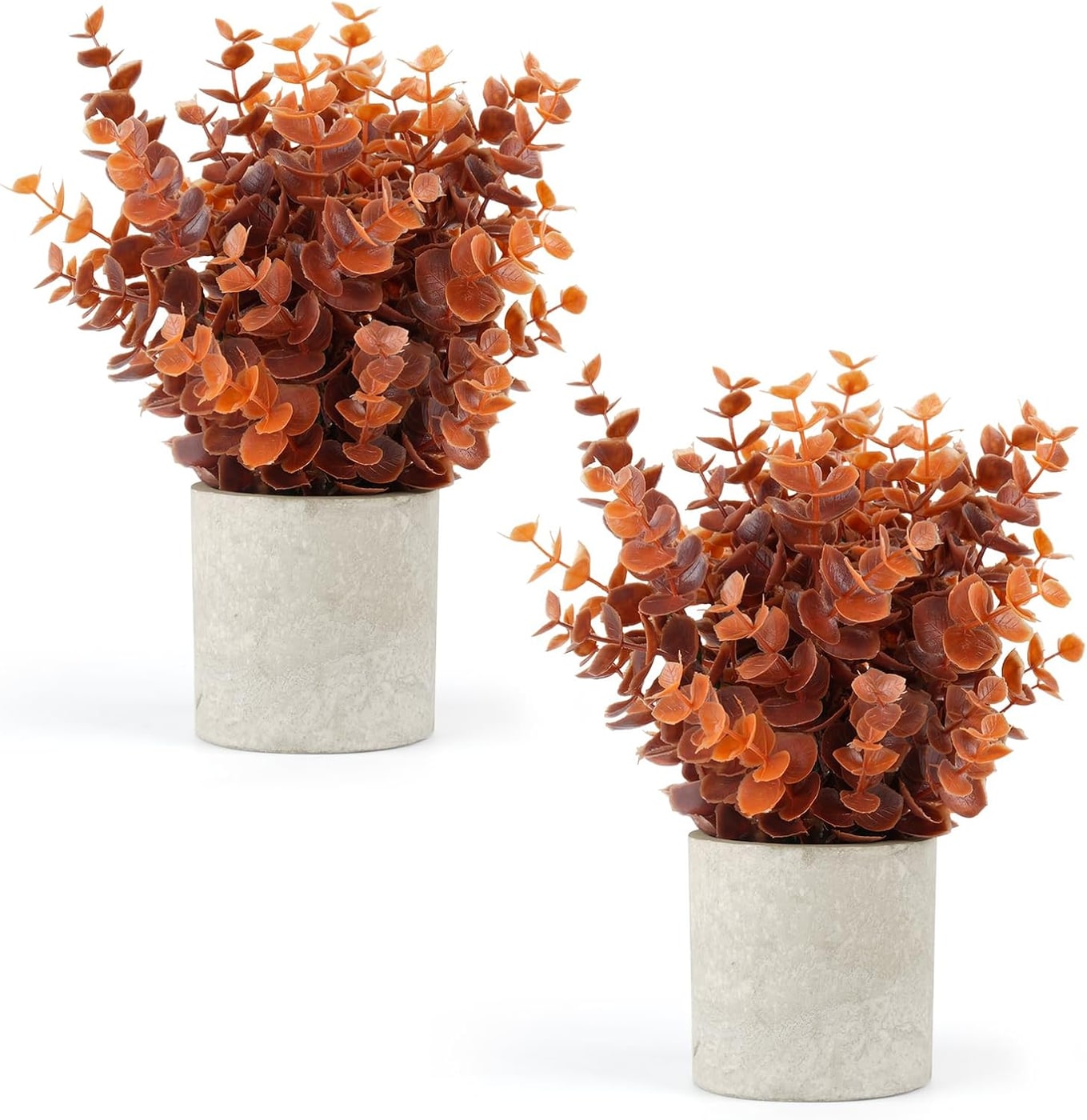 Small Potted Faux Eucalyptus Plant Pair
