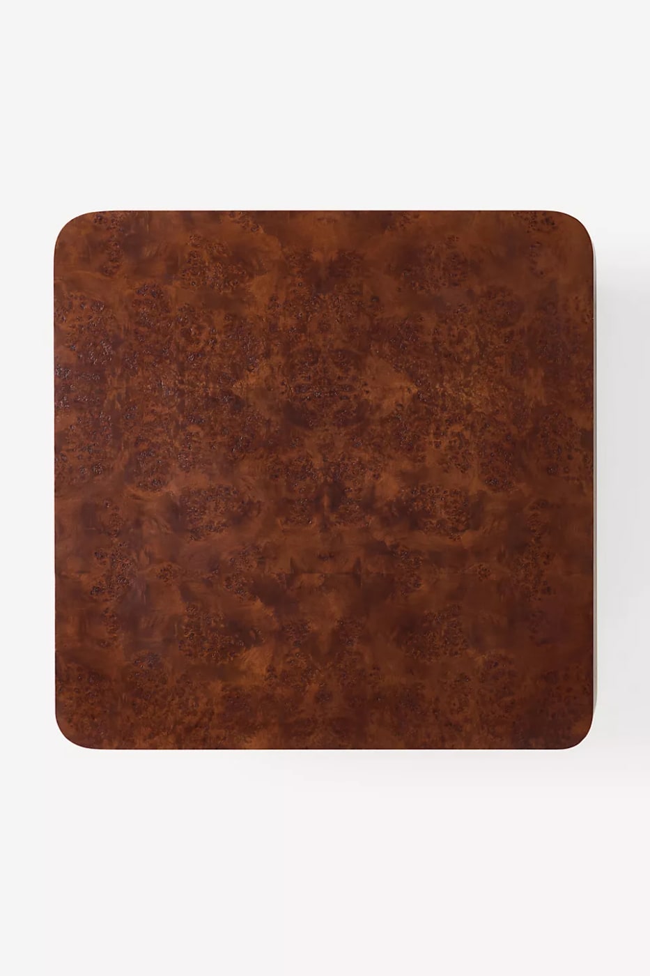 Prescott Burl Wood Coffee Table - Photo 4